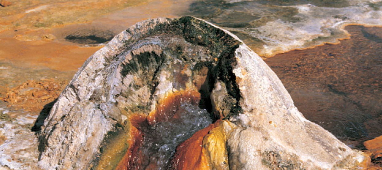 webseiten.1248x555.jpg